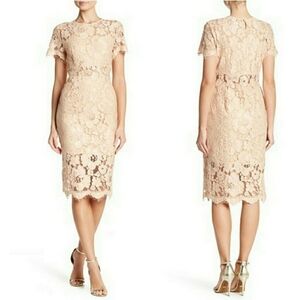 NWT NSR Fringe Floral Lace Evening Dress Size M